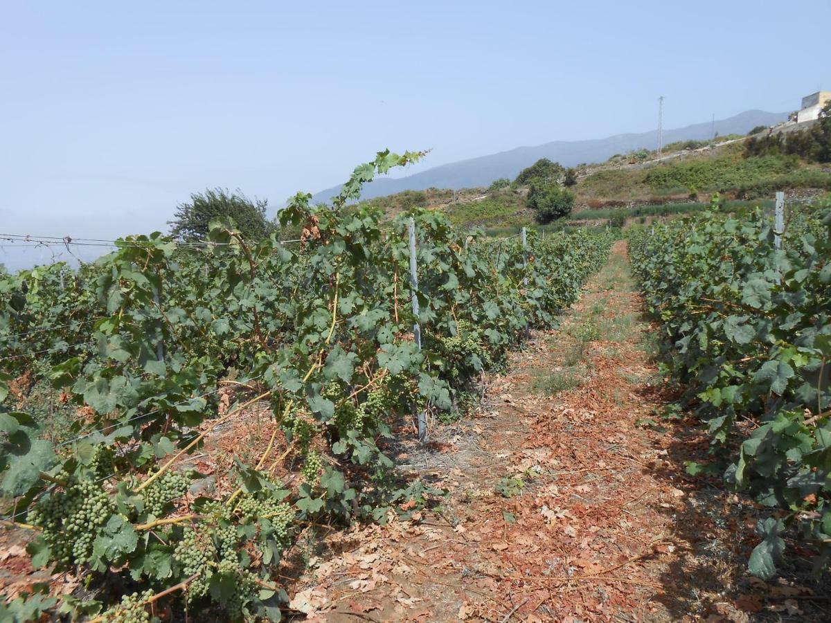 Casitas Las Uvas Y Las Vinas Лос-Реалехос Екстер'єр фото