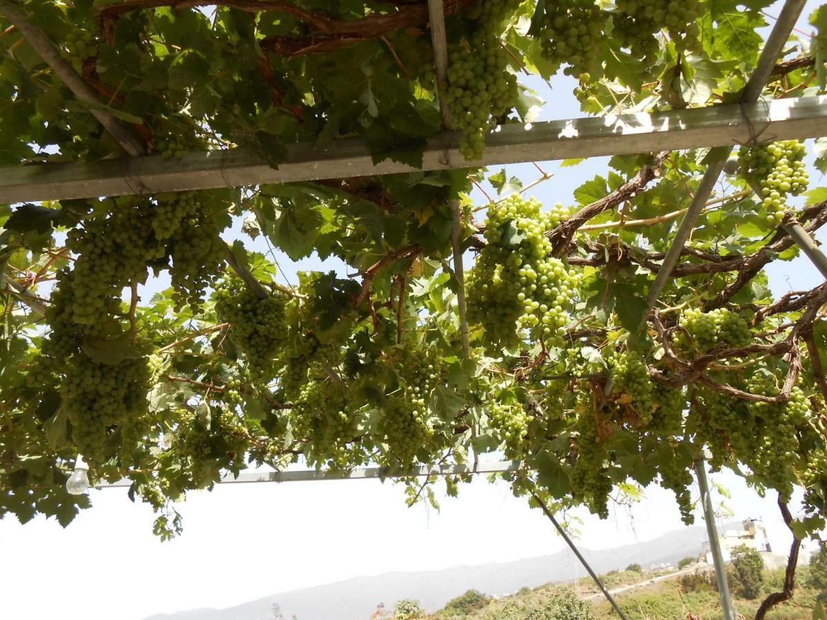 Casitas Las Uvas Y Las Vinas Лос-Реалехос Екстер'єр фото
